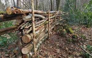 Travaux terrain de début 2025